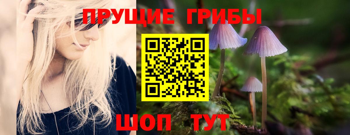 Псилоцибиновые грибы MAGIC MUSHROOMS  Псилоцибиновые грибы прущие грибы  продажа наркотиков  Вышний Волочёк  Вход с VPN 